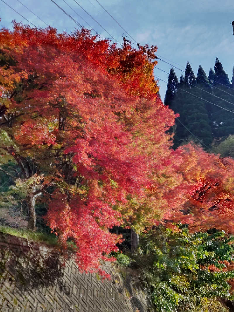 砂時計さんの稲武温泉 どんぐりの湯のサ活写真