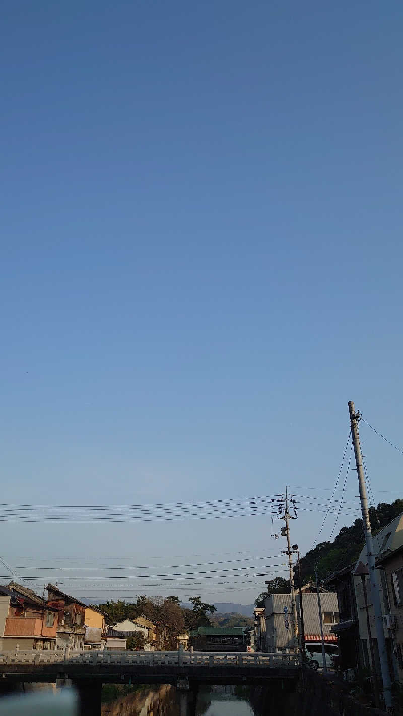 原付2種探検隊　隊長さんの琴弾廻廊のサ活写真