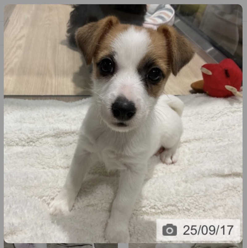 ととのえ♨️太朗さんの酒々井温泉 湯楽の里のサ活写真