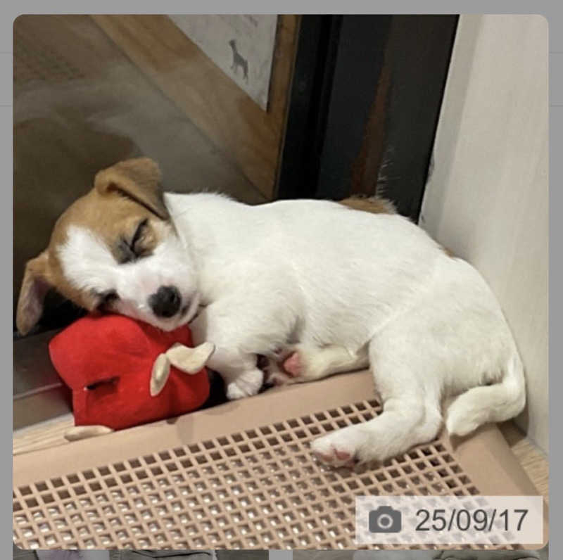 ととのえ♨️太朗さんの酒々井温泉 湯楽の里のサ活写真