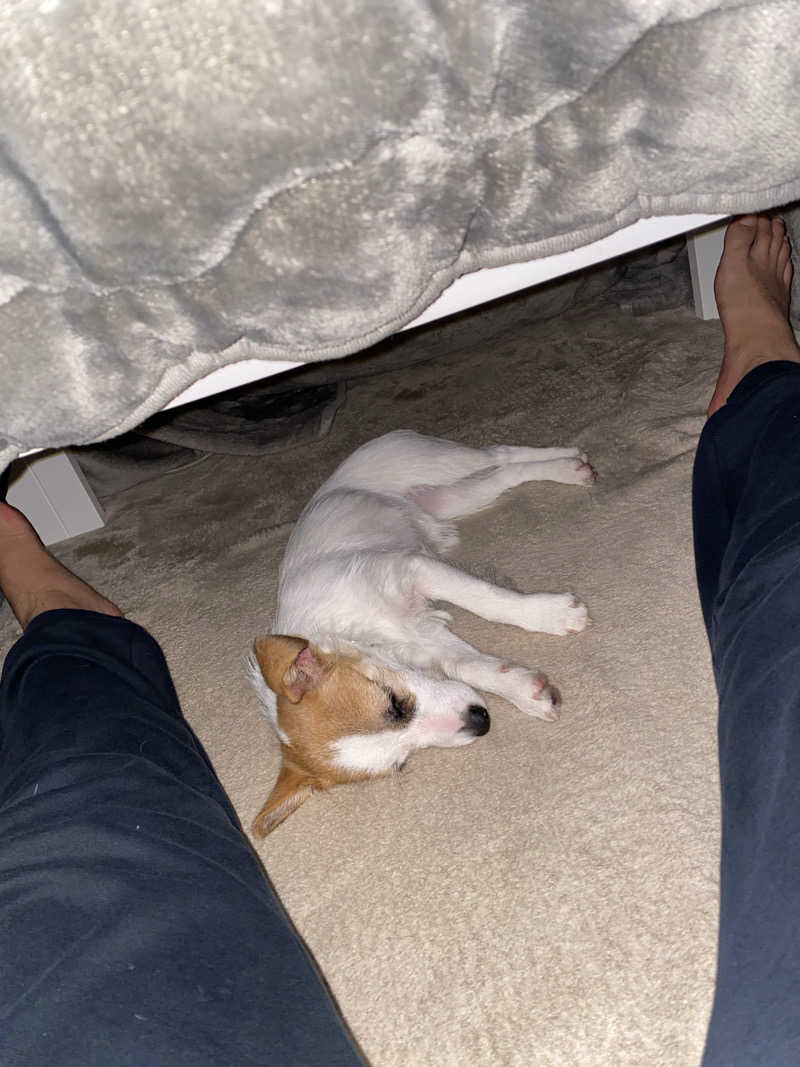 ととのえ♨️太朗さんの成田空港温泉 空の湯のサ活写真