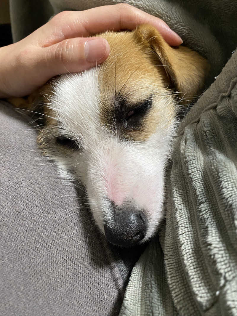 ととのえ♨️太朗さんの酒々井温泉 湯楽の里のサ活写真