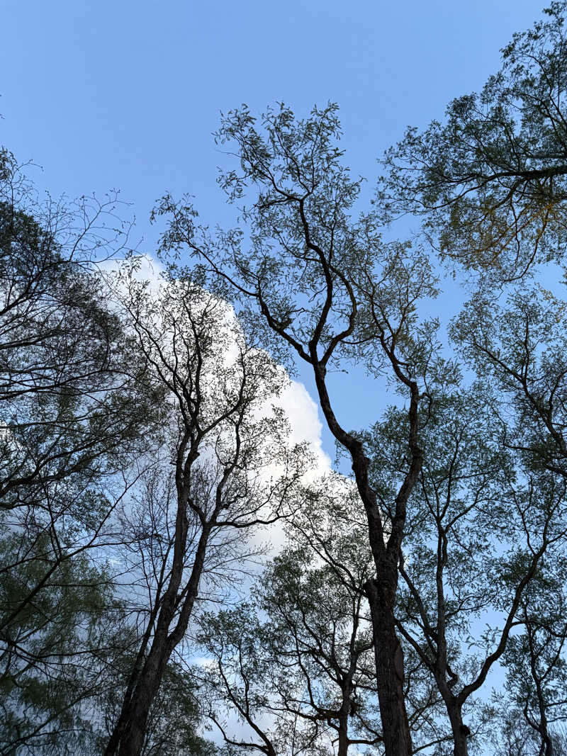 37さんのThe Saunaのサ活写真