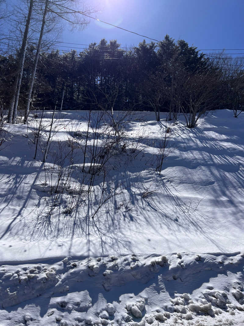 やまぴーさんの白樺リゾート 池の平ホテル「湖天の湯」のサ活写真