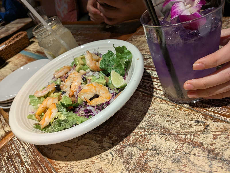 きんのんさんの鶴見緑地湯元水春のサ活写真