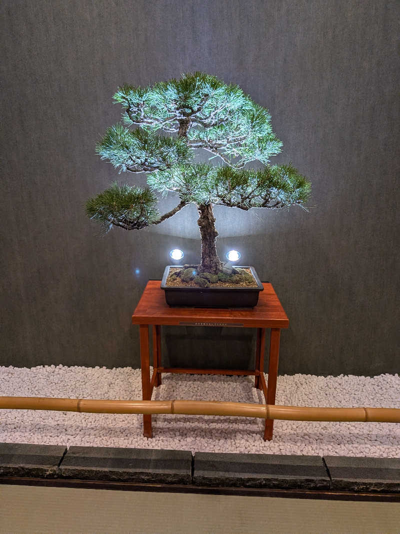 きんのんさんの天然温泉 延羽の湯 鶴橋店のサ活写真