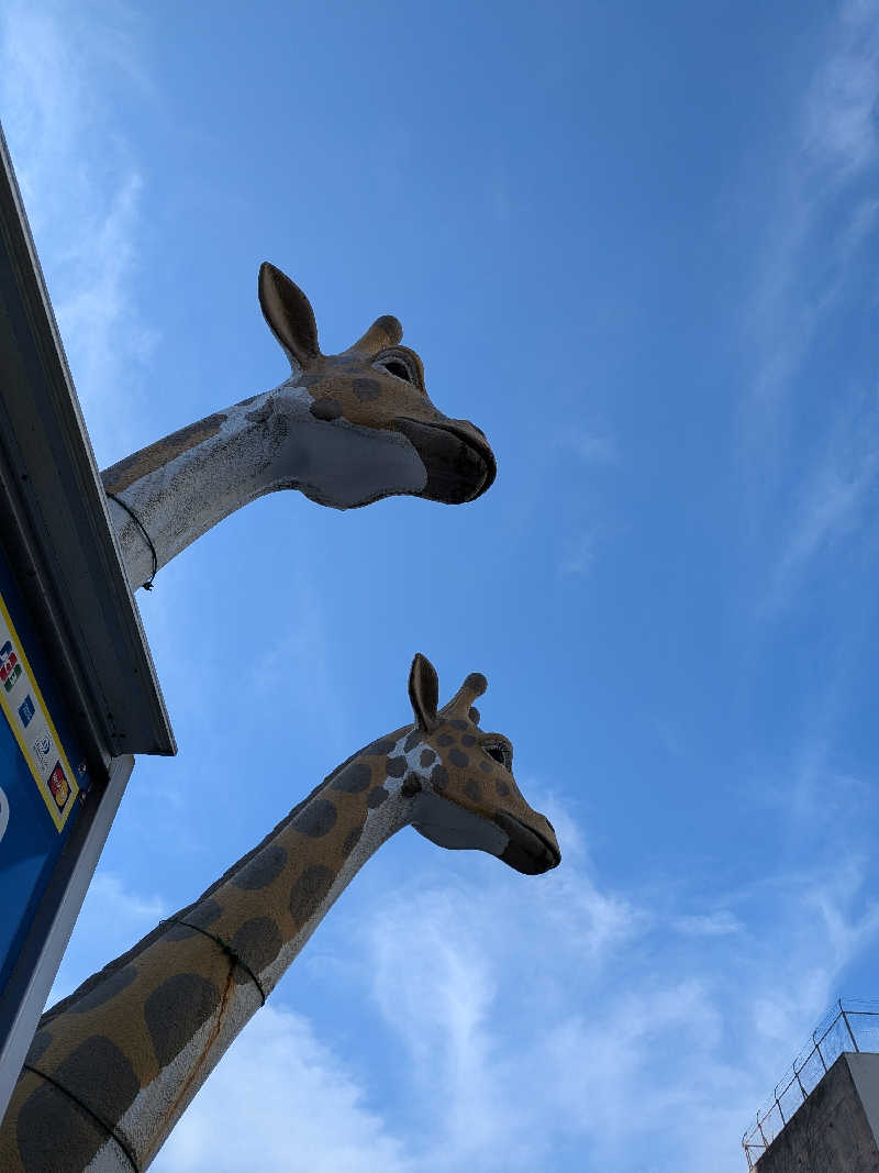 きんのんさんのウェルビー今池のサ活写真