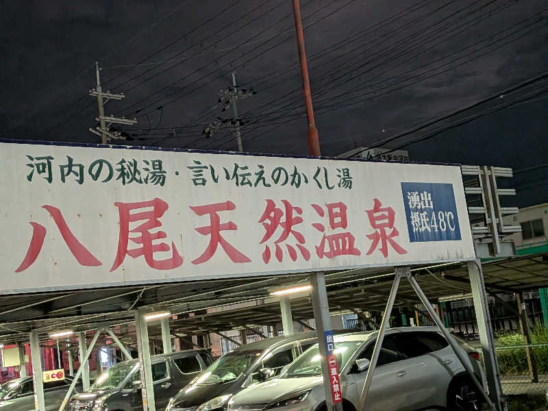 きんのんさんの八尾グランドホテルのサ活写真