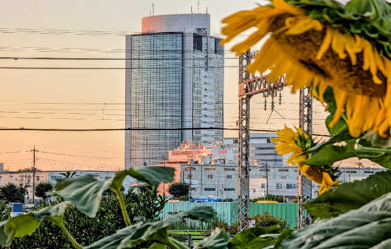 HOTさんの湯乃泉 東名厚木健康センターのサ活写真