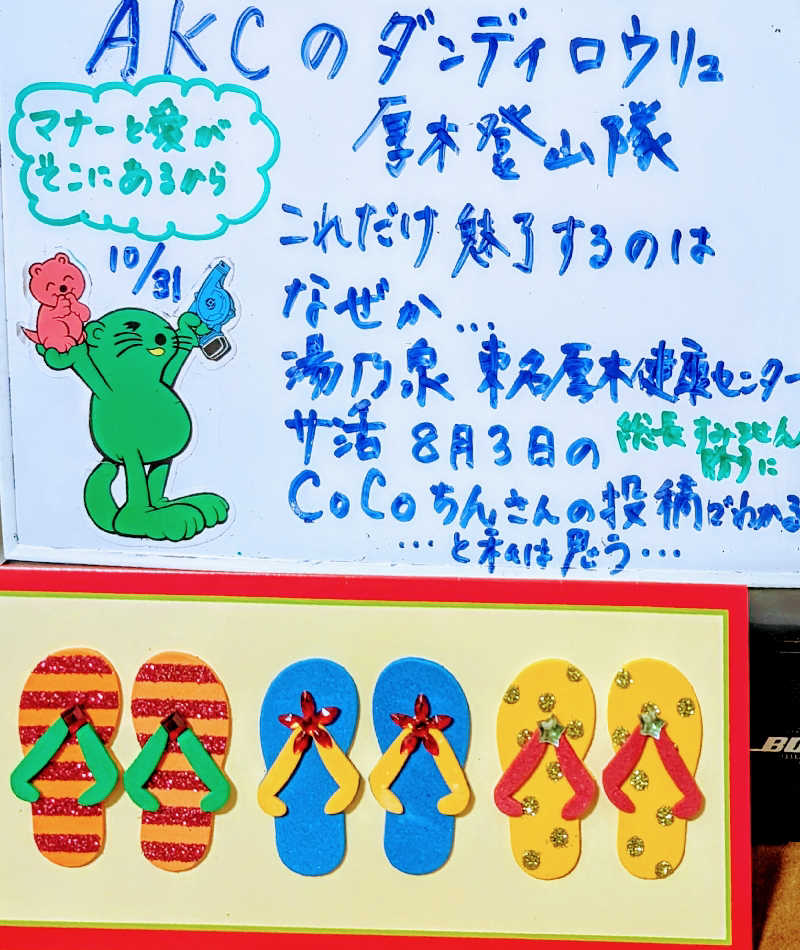 HOTさんの湯乃泉 東名厚木健康センターのサ活写真