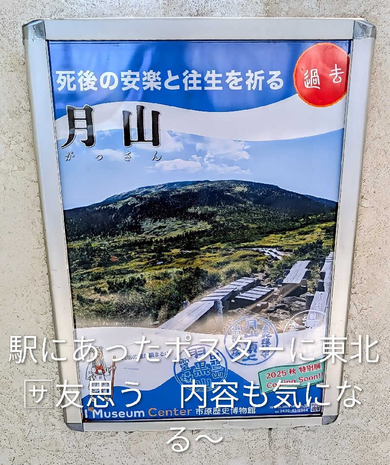 HOTさんの薬湯市原店のサ活写真