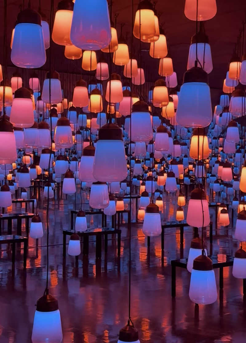 ケンタロックさんの御船山楽園ホテル  らかんの湯のサ活写真