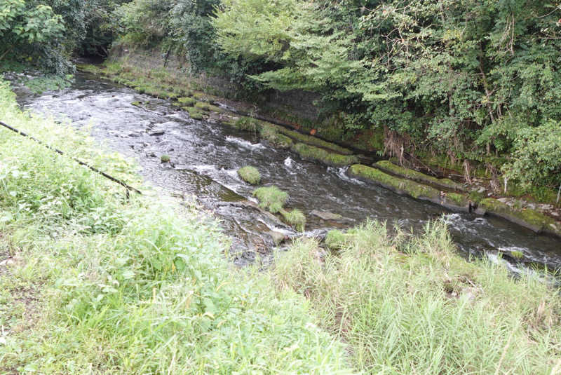 SaIChiさんのsumu saunaのサ活写真