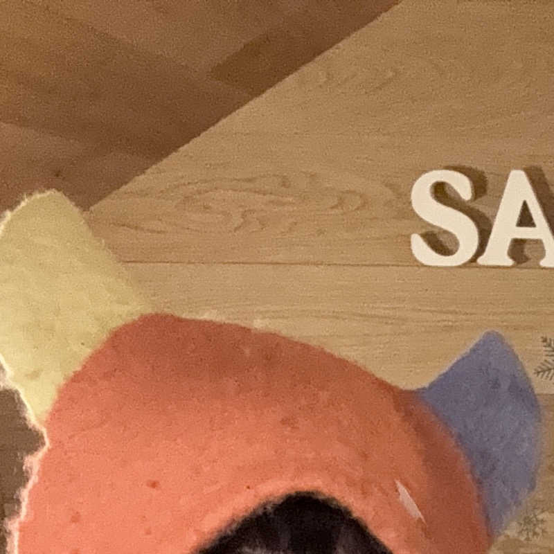 JURIさんのサウナコタンサッポロのサ活写真
