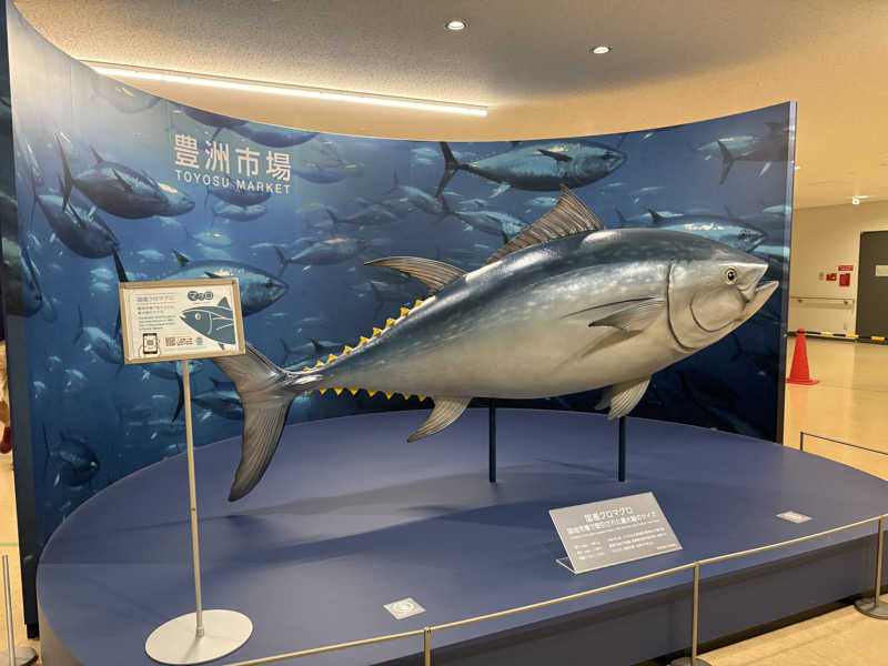 たっくんさんの東京豊洲 万葉倶楽部のサ活写真