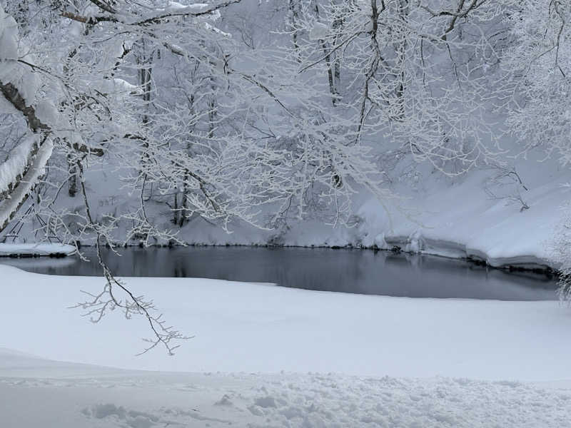 たっくんさんのBED'n ONSEN HAMMOND - ハモンド -のサ活写真