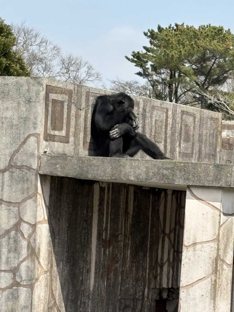 たっくんさんのエクシブ伊豆のサ活写真