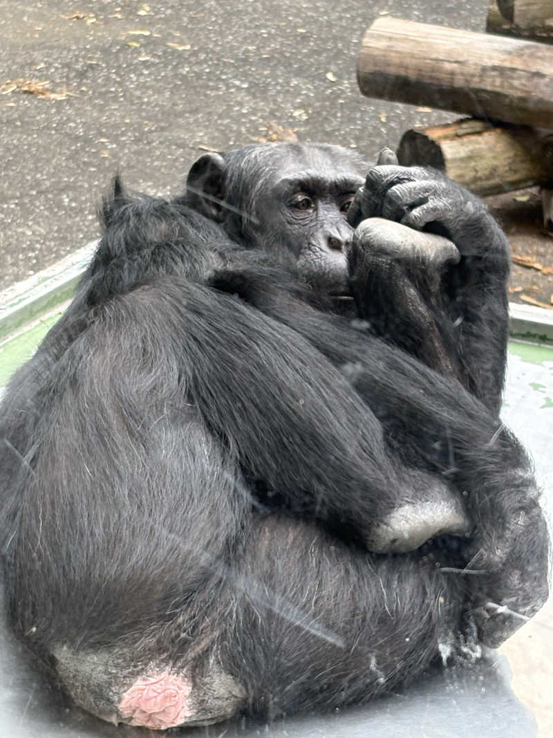 たっくんさんのエクシブ伊豆のサ活写真