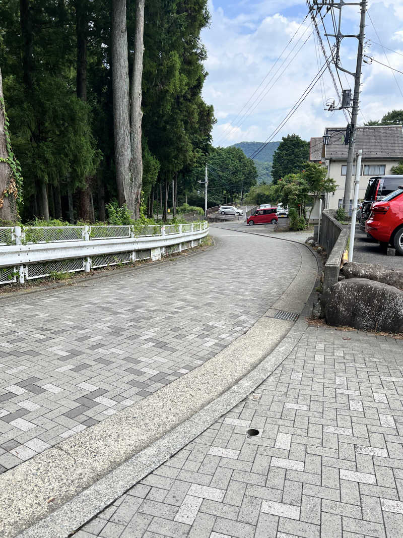 ビールちゃんさんの清川村ふれあいセンター 別所の湯のサ活写真