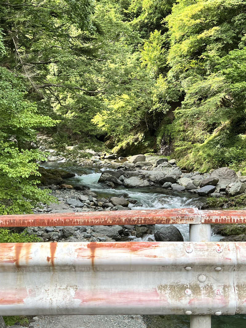 ビールちゃんさんの道志川温泉紅椿の湯のサ活写真