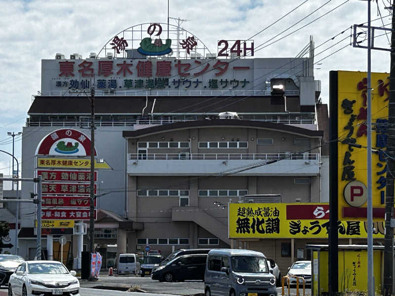 顔ハメは絶対やるのよさんの湯の泉 東名厚木健康センターのサ活写真