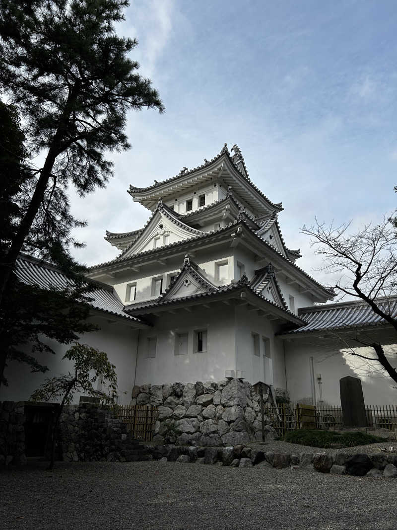 顔ハメは絶対やるのよさんの田辺温熱保養所のサ活写真