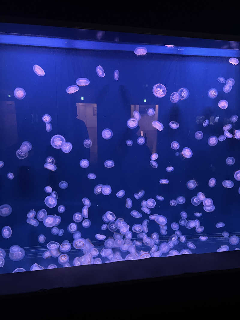 おたけさんの登別温泉 ホテル まほろばのサ活写真