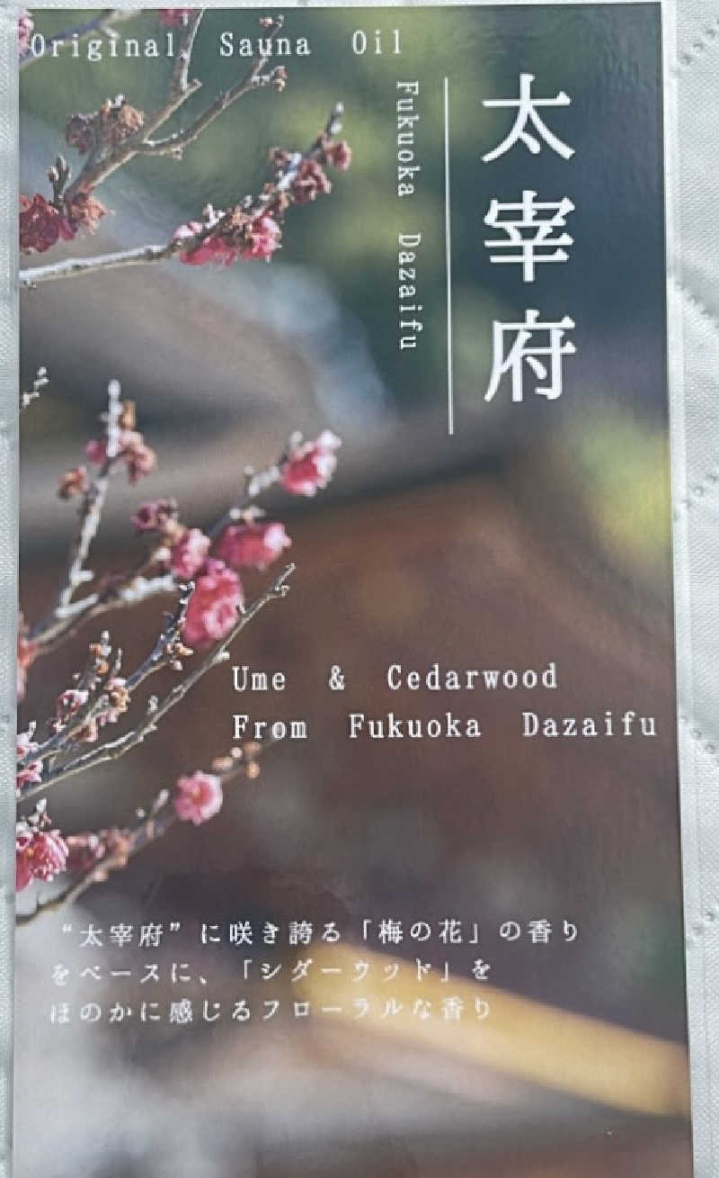 千代似大海(八女人)さんの船小屋温泉 ホテル樋口軒のサ活写真