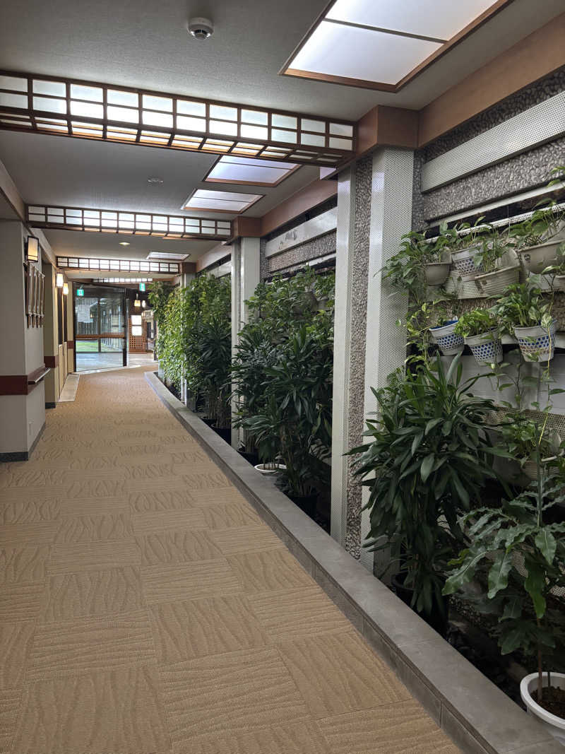 千代似大海(八女人)さんの指宿白水館のサ活写真