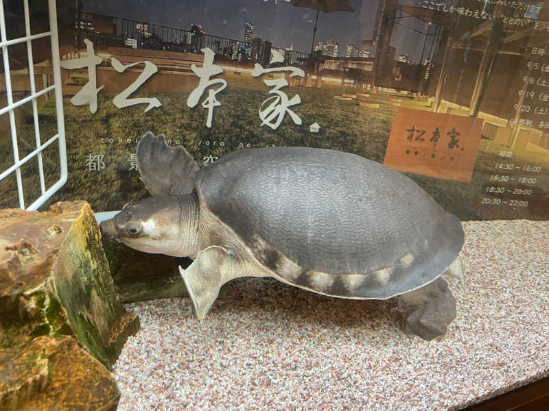 蒸し女さんの松本湯のサ活写真