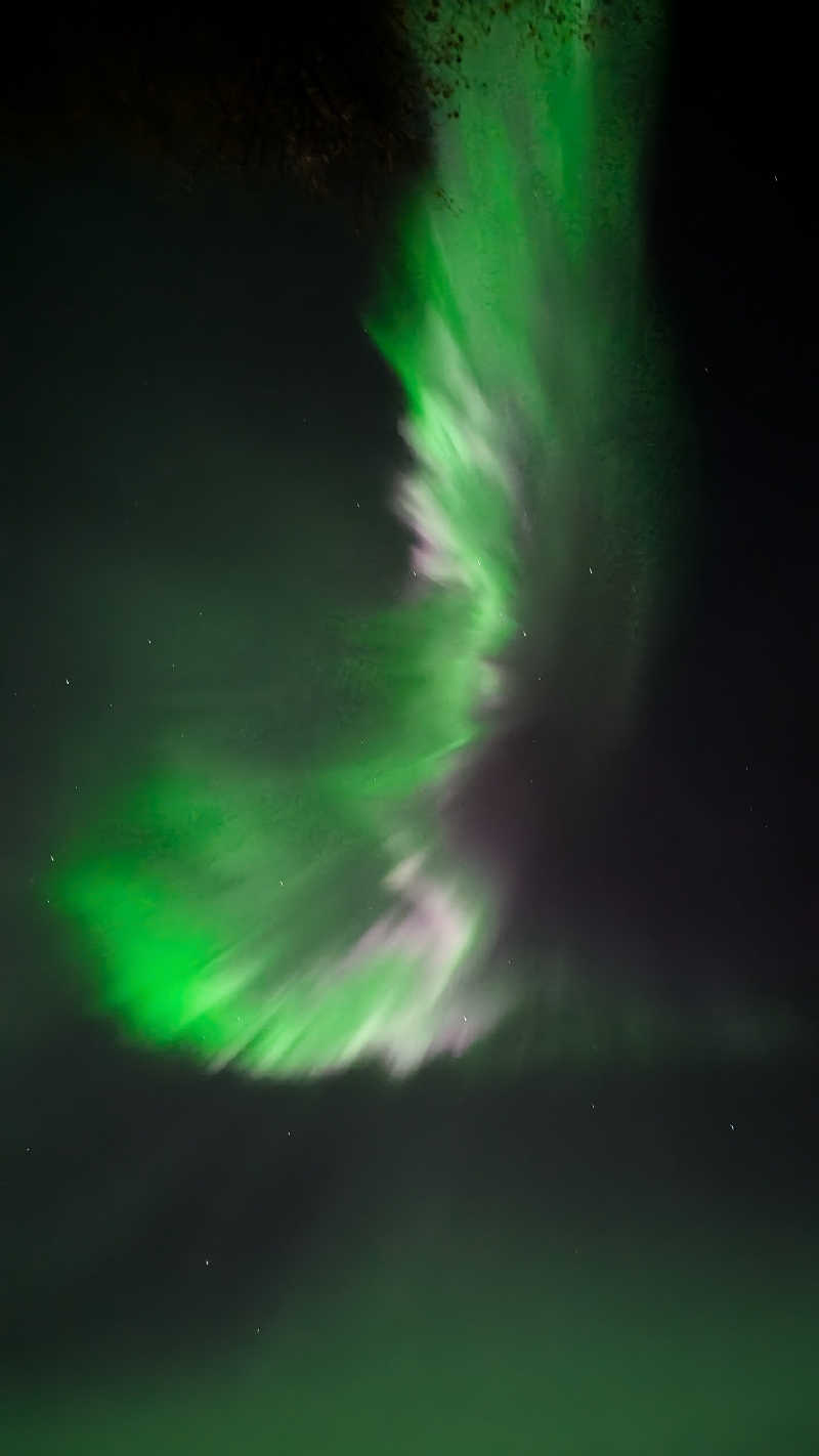 cacaさんのWNTR Sauna by Kesäraaのサ活写真