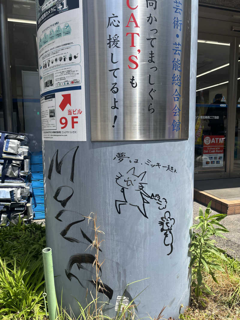 そらさんの改良湯のサ活写真