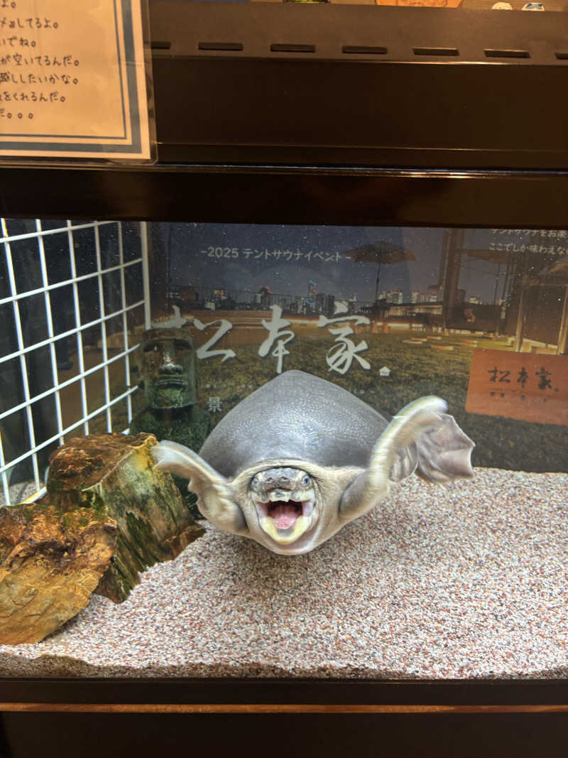 そらさんの松本湯のサ活写真