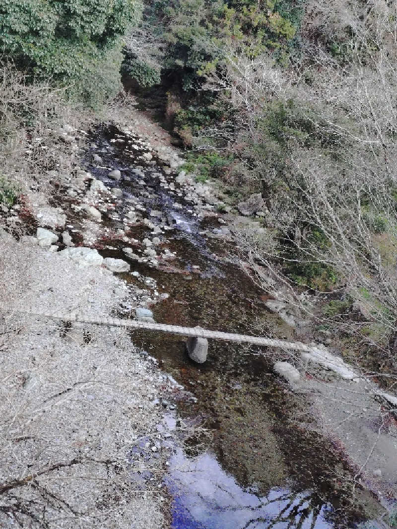 モグラさんの霧の森 交湯〜館のサ活写真