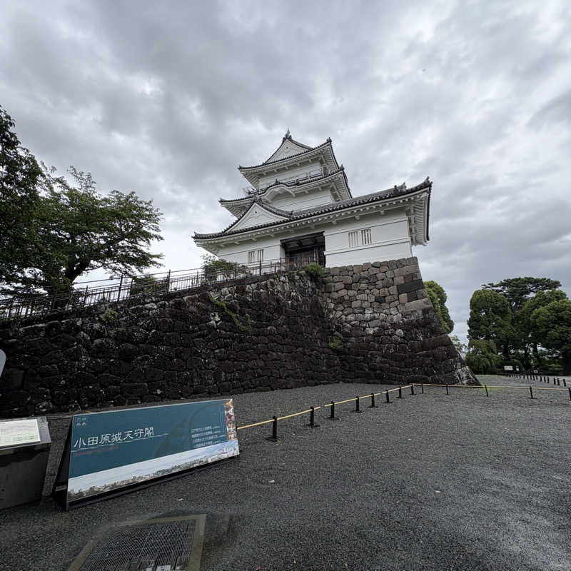 みやあんさんの天成園 小田原駅 別館のサ活写真