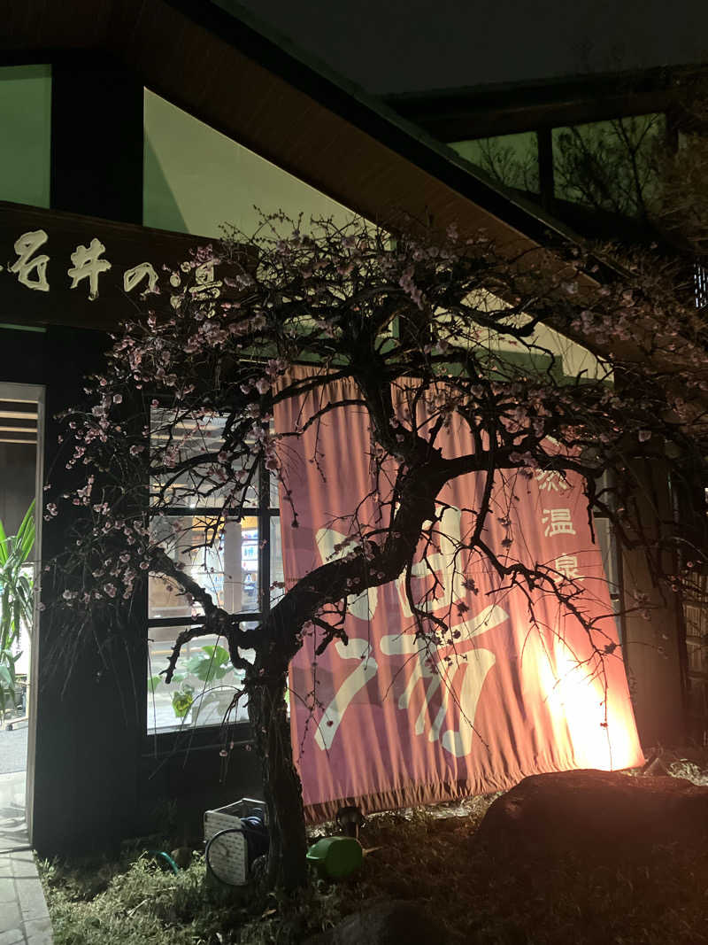 ウパ吉さんの天然温泉 真名井の湯 大井店のサ活写真