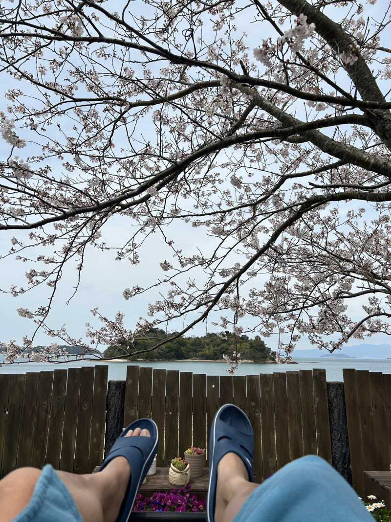 タミーさんの光アイランドのサ活写真