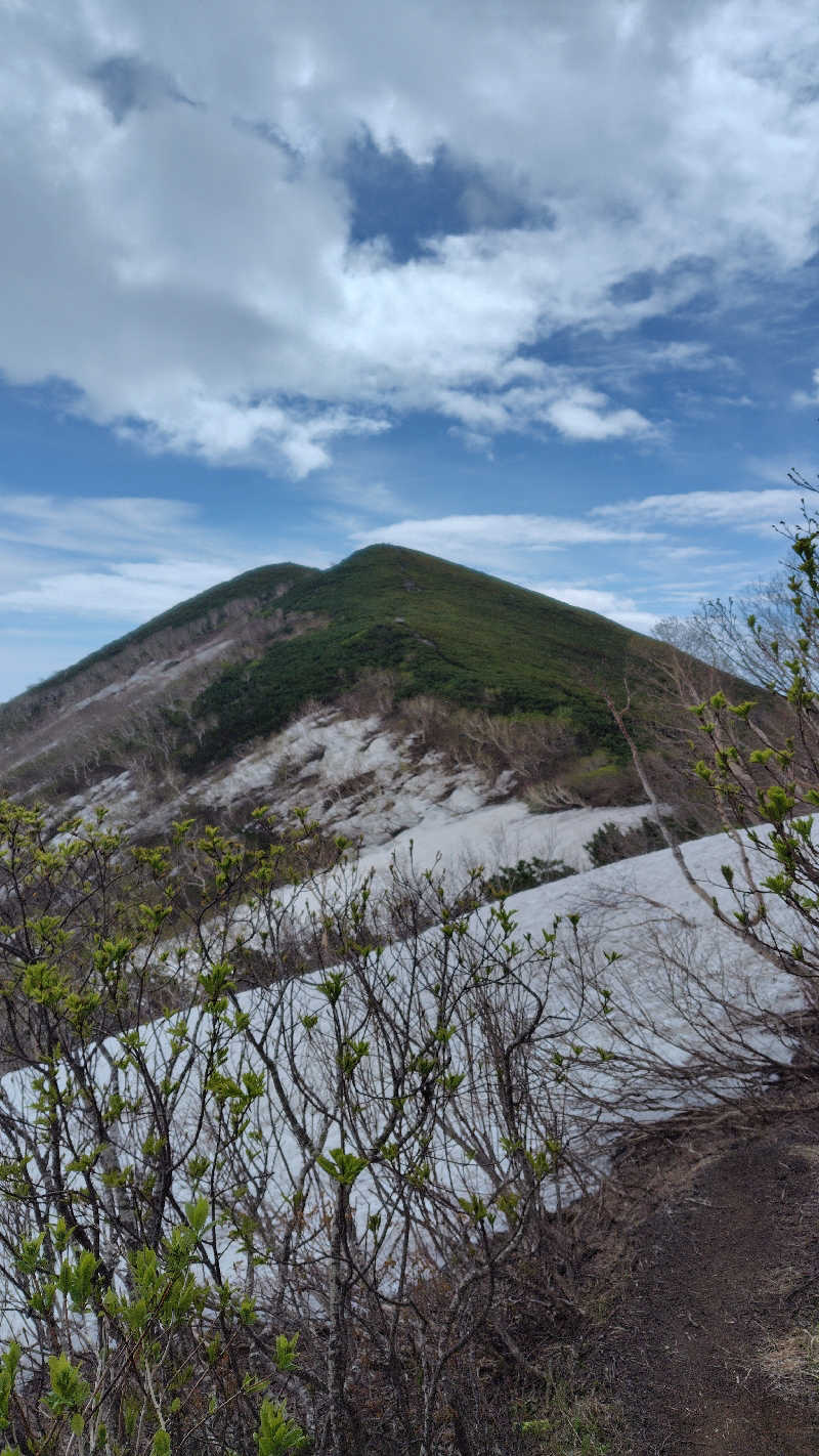 陸奥八仙さんの自由ヶ丘温泉のサ活写真