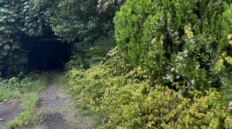 パリコマさんの足利健康センターのサ活写真