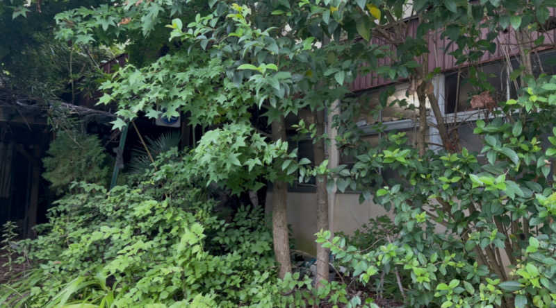 パリコマさんの足利健康センターのサ活写真