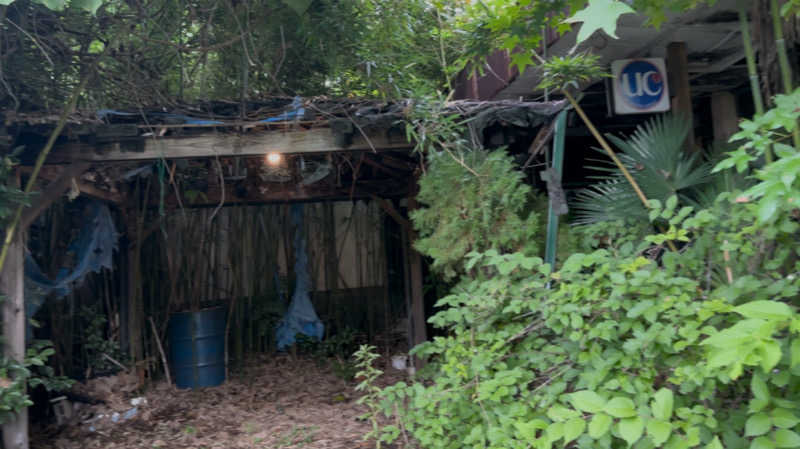 パリコマさんの足利健康センターのサ活写真