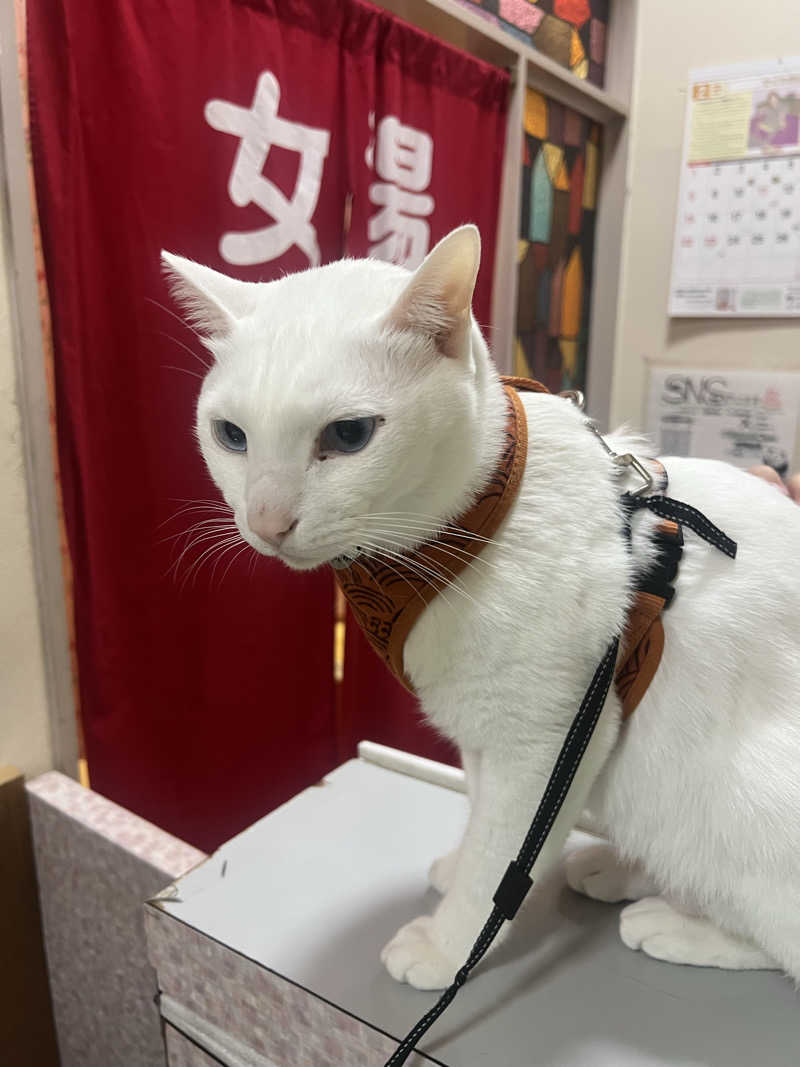 mi_moさんの深草温泉のサ活写真