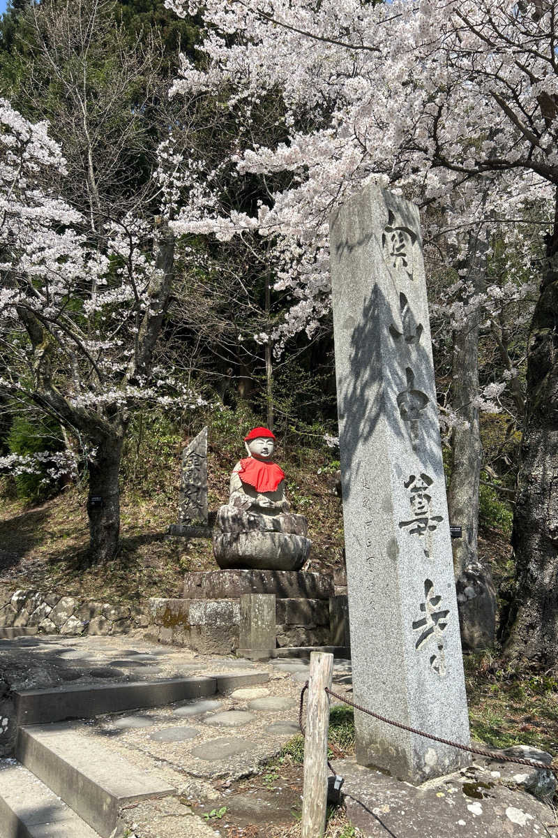 ムラキチさんの山の神温泉 優香苑 こもれび乃湯のサ活写真