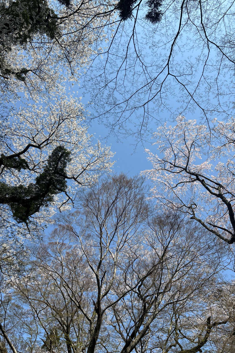 ムラキチさんの山の神温泉 優香苑 こもれび乃湯のサ活写真