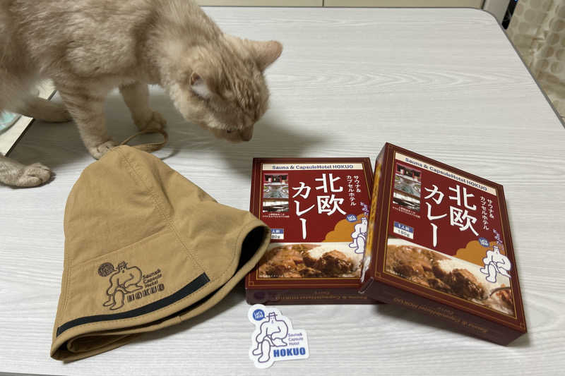 ムラキチさんのサウナ&カプセルホテル 北欧のサ活写真