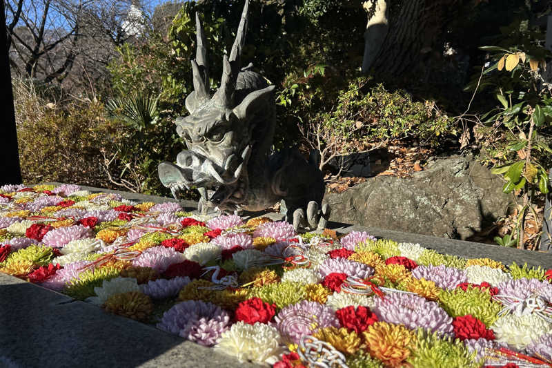 ムラキチさんのよみうりランド眺望温泉 花景の湯のサ活写真