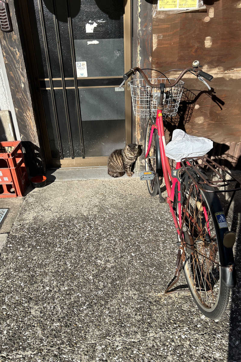 ムラキチさんのCOCOFURO たかの湯のサ活写真