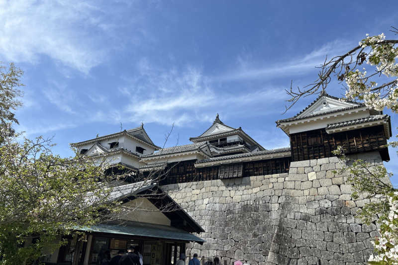ムラキチさんの伊予の湯治場 喜助の湯のサ活写真