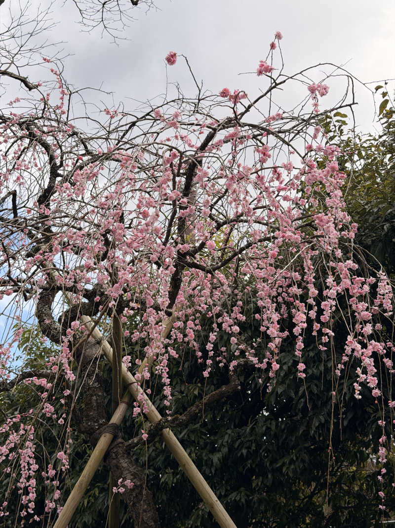 武田敏昭さんのレンブラントプレミアム富士御殿場のサ活写真