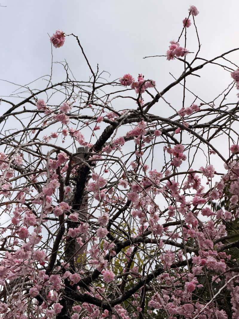 武田敏昭さんのレンブラントプレミアム富士御殿場のサ活写真
